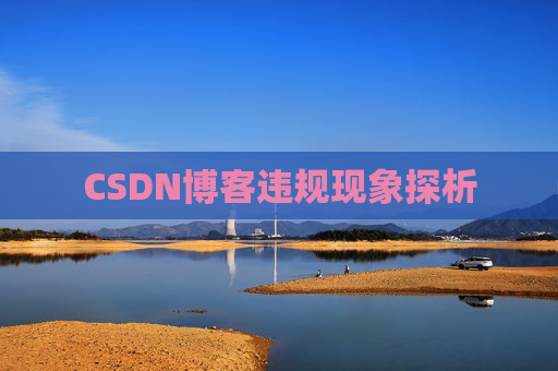 CSDN博客违规现象探析